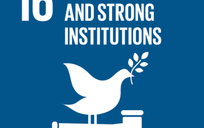 UNESCO: Overview Report on SDG 16.10.2 Data Exercise